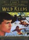 Wild Reeds (1994)5.jpg
